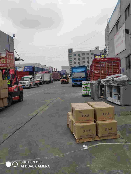 成都至酒泉精品专线 2026零担快运，全程高速与城市配送一体化服务